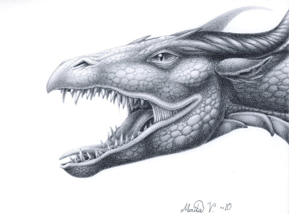 Dragon head by YikYik