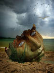 Fragile Dreams by MelGama