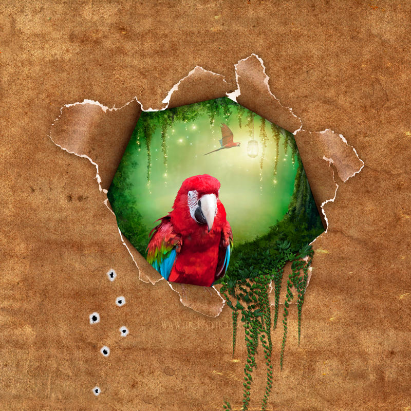 Floresta Encantada by MelGama