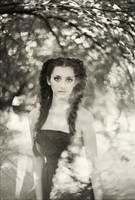 005319 by aleksandra88