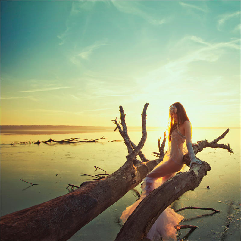 3456689 by aleksandra88