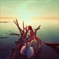 57788 by aleksandra88