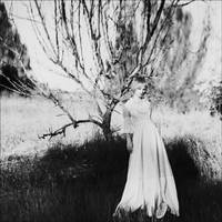 8654 by aleksandra88