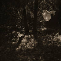 8654290 by aleksandra88