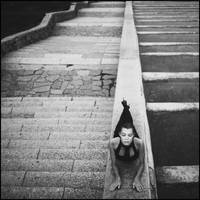 5688665 by aleksandra88