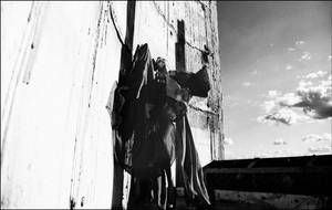 57457434332 by aleksandra88