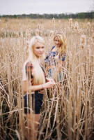 lions by danaxxmarie