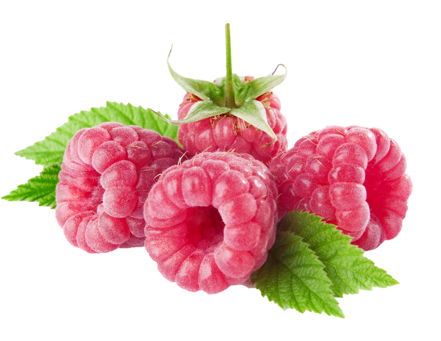 Raspberry on a transparent background. by PRUSSIAART on DeviantArt