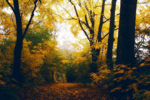 I walked alone by bebefromtheblock