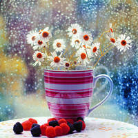 The language of flowers by bebefromtheblock