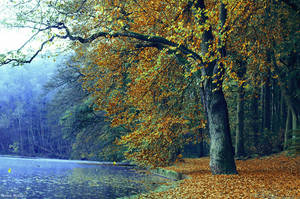 Take My Hand by bebefromtheblock