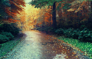 Never Noticed by bebefromtheblock