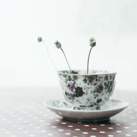 Sense of urgency by bebefromtheblock