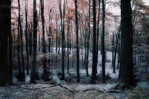 Will you take my hand by bebefromtheblock