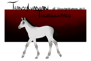 TTB Foal Design #048 by slayingallhumans