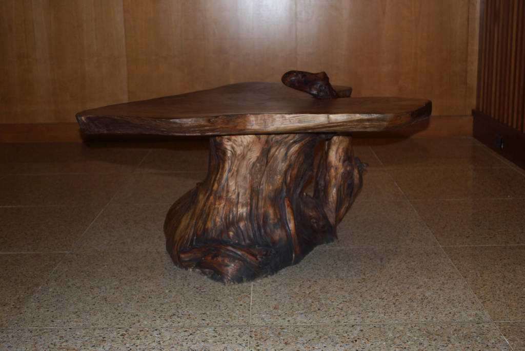 Organic coffee table by N8grafica