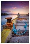 008 Tasmania by Jer-Trow