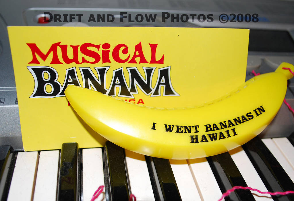Musical Banana Keys by driftandflow