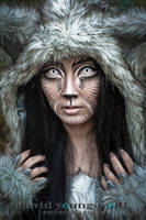 Gray Wolf by arsilverfox