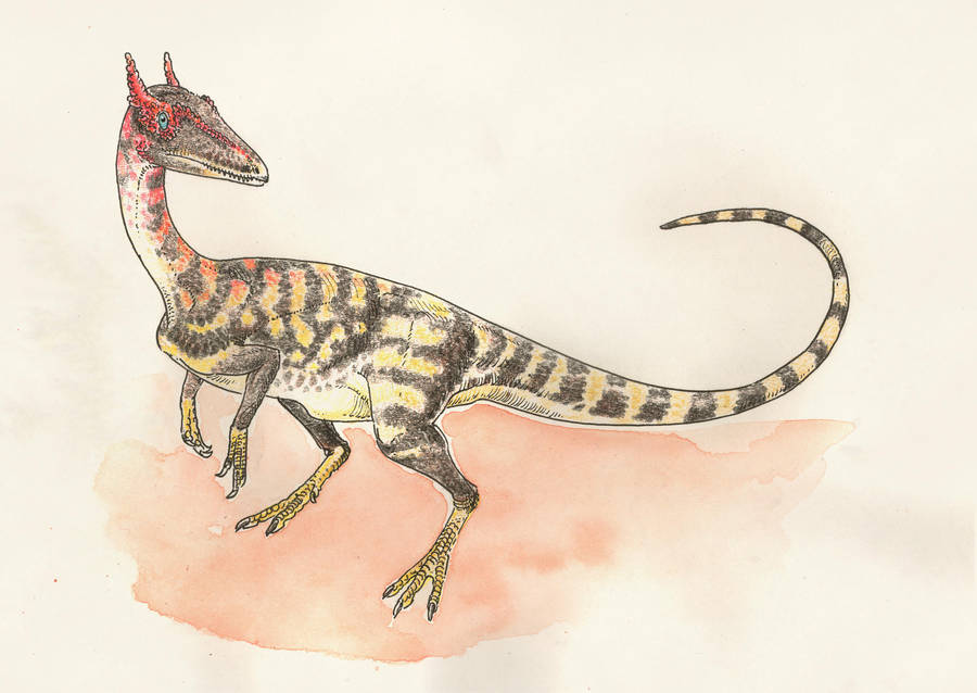 Segisaurus halli by Andrewsarchus89
