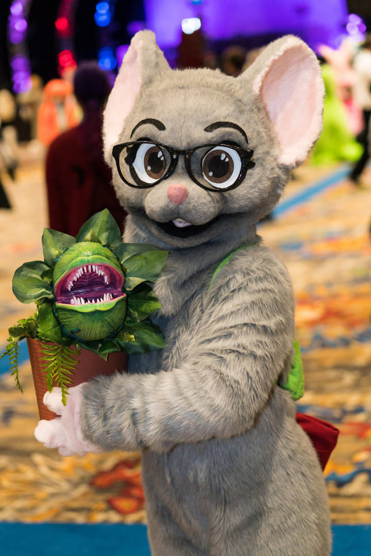 My unique and interesting plant! by temperance