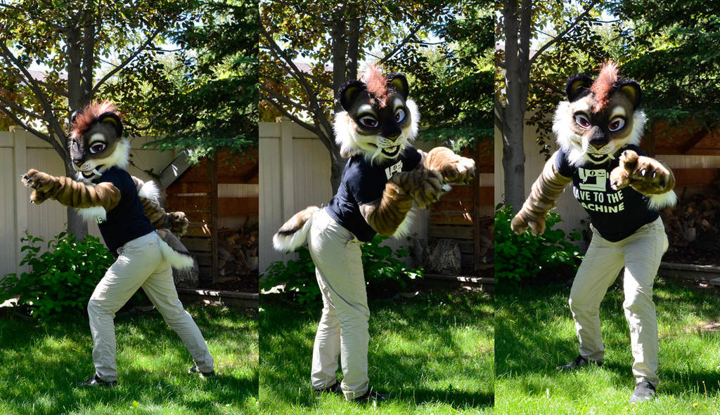 Saber toothed Cat Partial by temperance