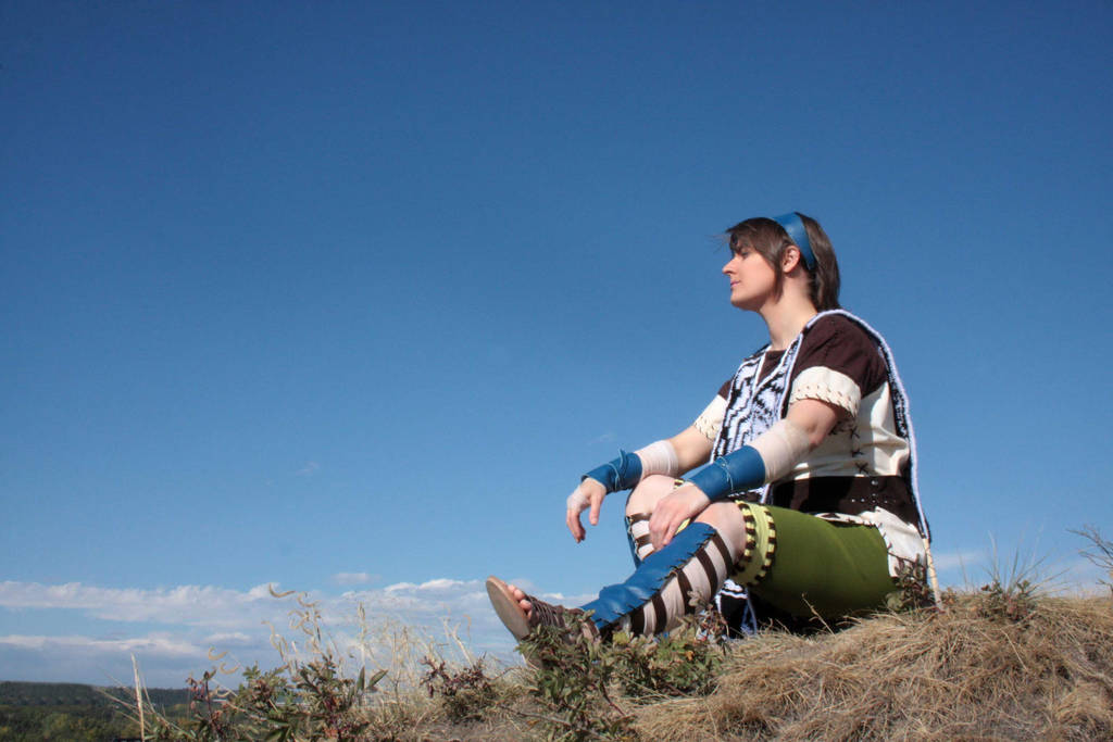 Wander - Shadow of Colossus by temperance