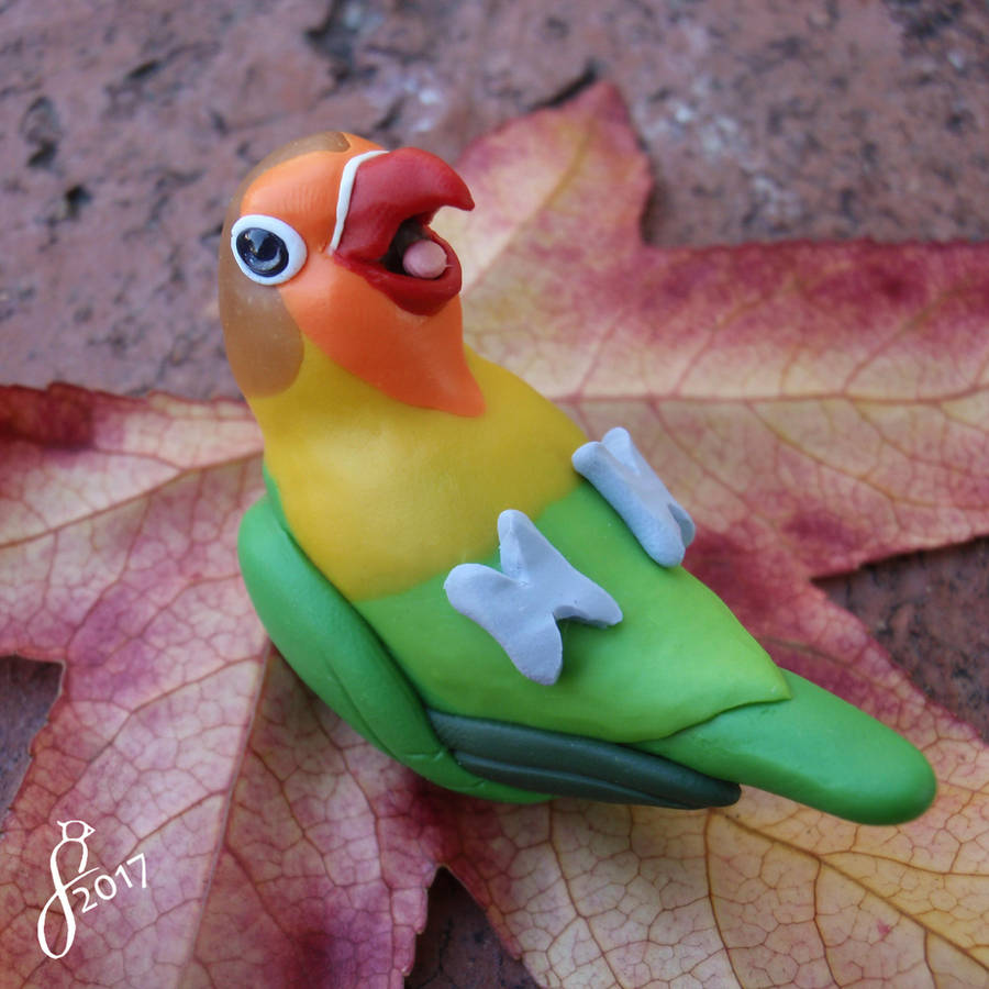Playful Fischer's Lovebird by The-Wandering-Bird