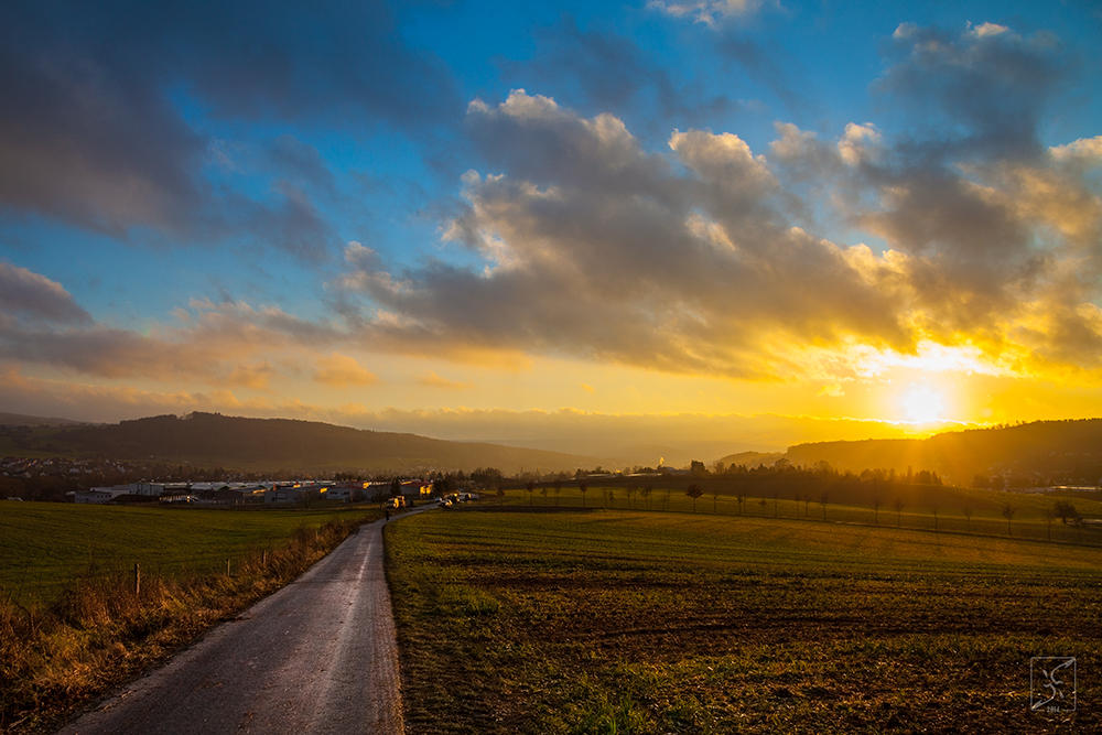 Coming Home by Zyklotrop