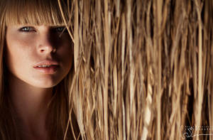 PAMIA by steelhearted