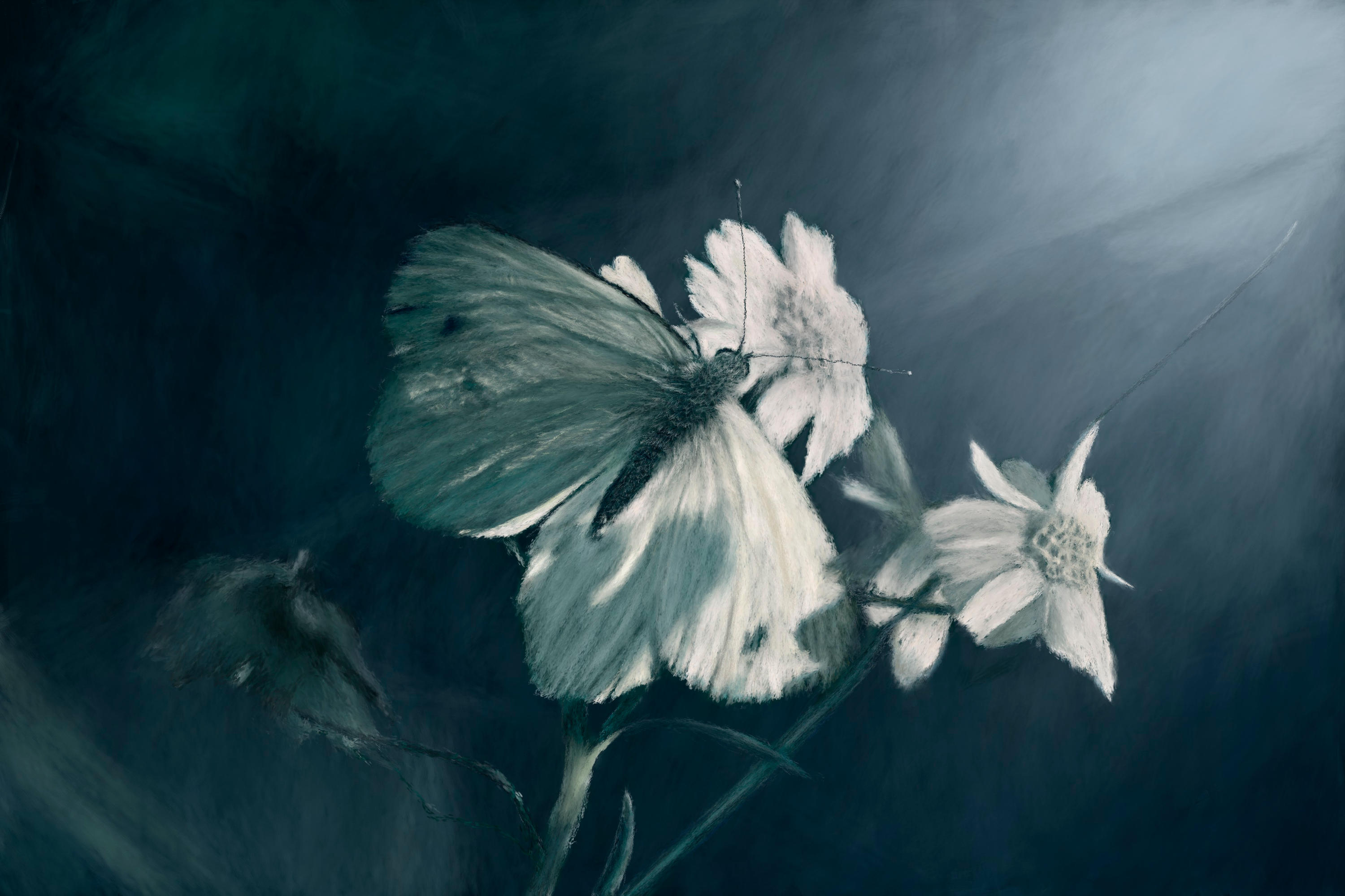 White Butterfly by ConfirmedBurger