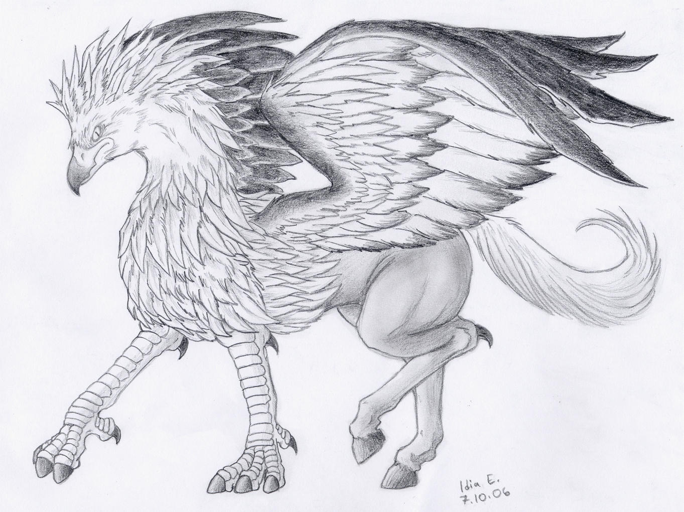 Hippogriff by Lintufriikki