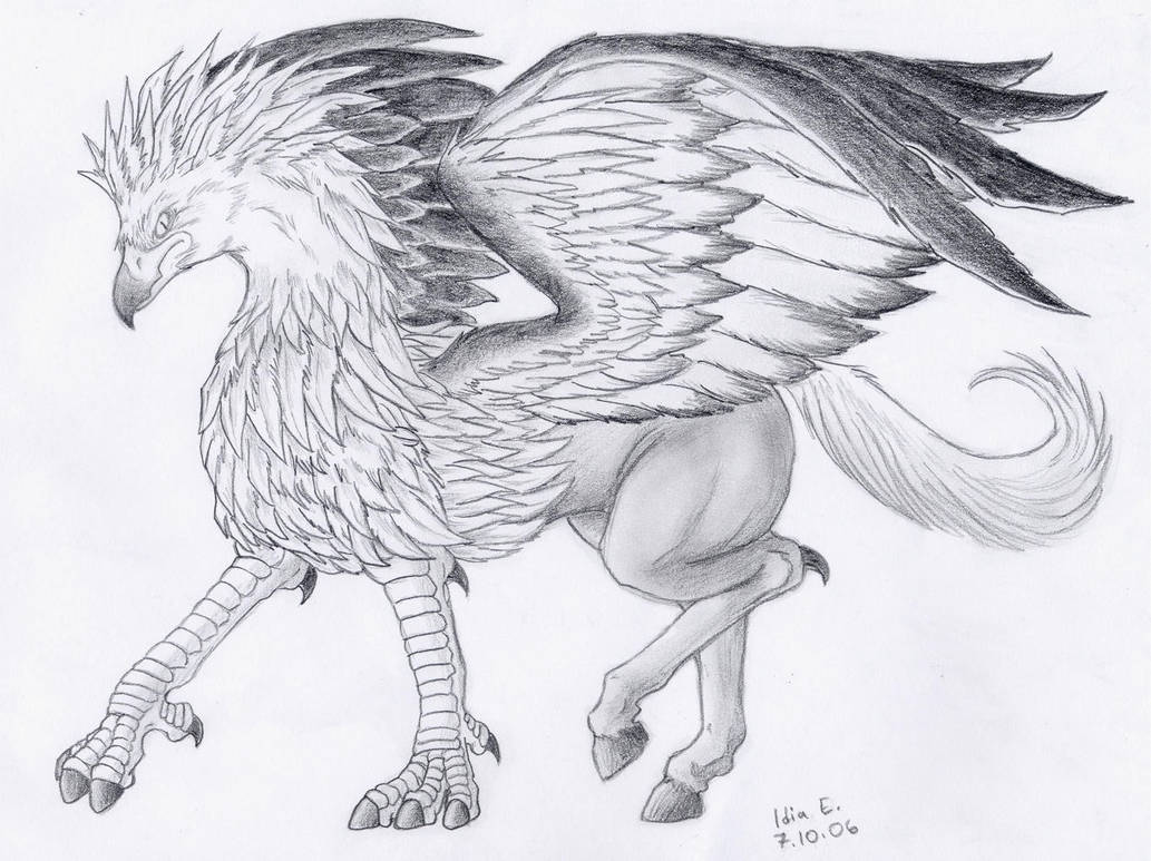 Hippogriff by Lintufriikki