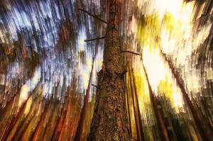Skylight in motion by RobinHedberg Skylight in motion by RobinHedberg