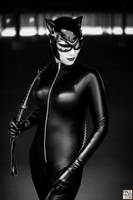 Catwoman by gillykins