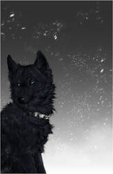 Wolf's Rain .:Blue:. by WhiteSpiritWolf