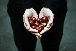 autumn.love.trash. by musicandphotography