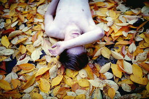 blended. by musicandphotography