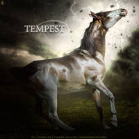 HEE Horse Avatar | Tempest by iAlissa