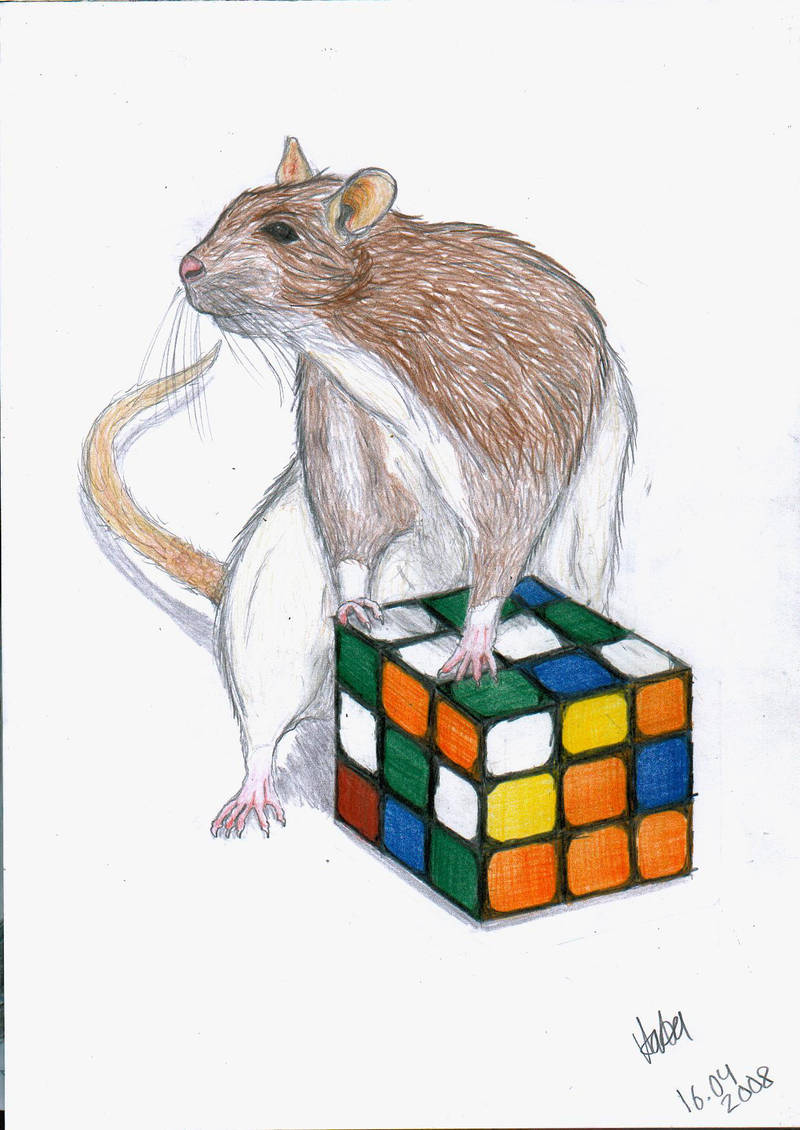 Rat by It-is-Madness