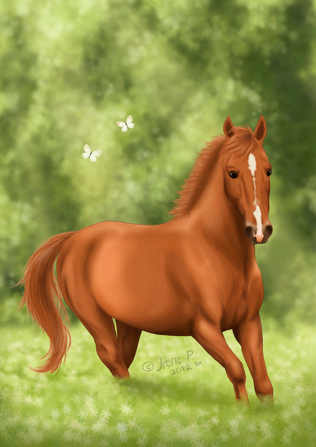 Ariella by Avelynnn