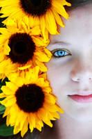 Sunflowers1 by Hi-TeQ