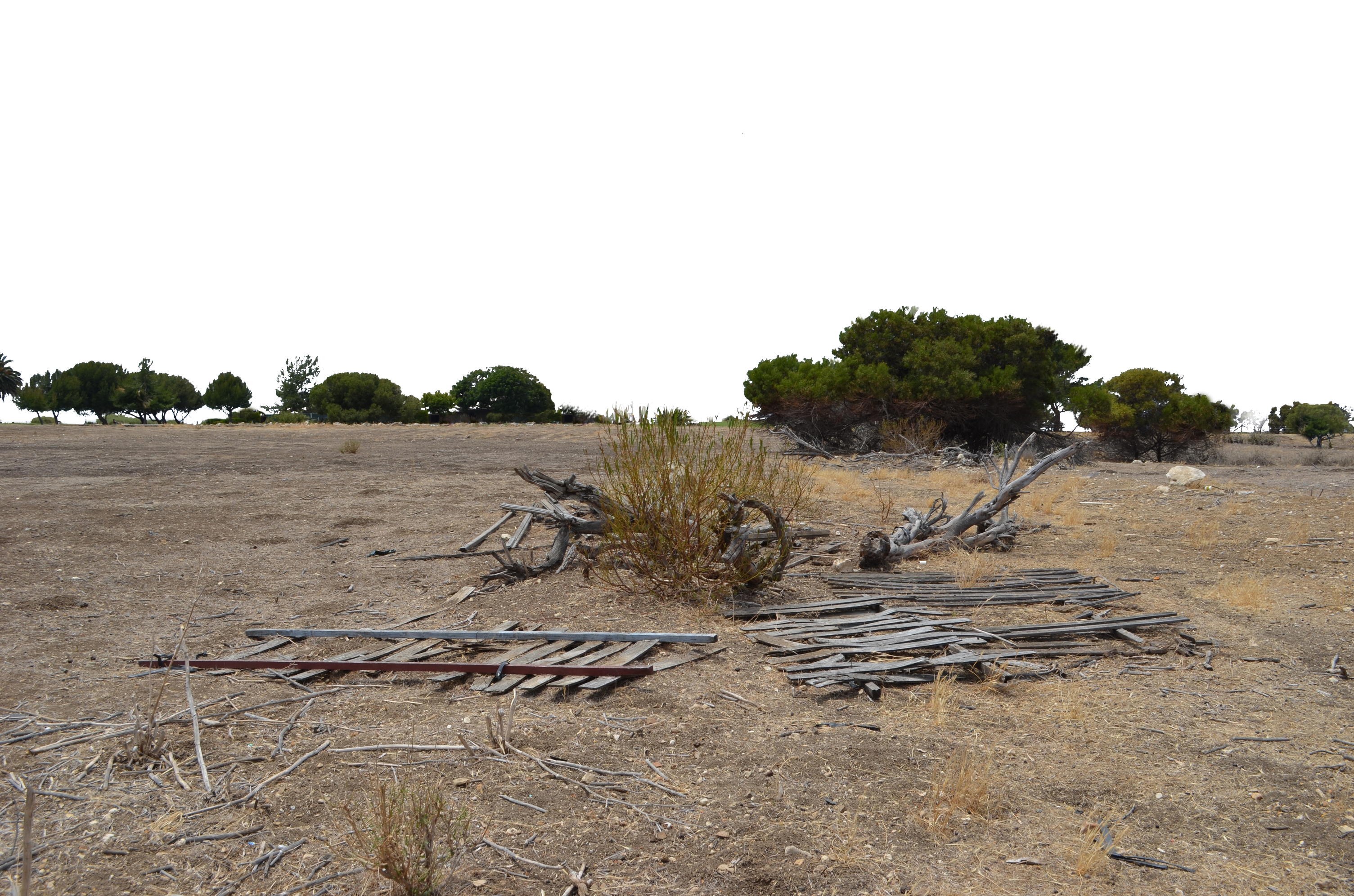 Field and Ground PNG Background Stock 0329 USEDTH by annamae22