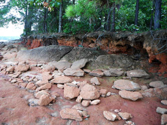 Rocky Forest Shoreline Background Stock Photo 0549 by annamae22