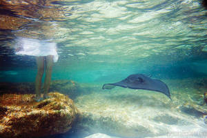 Visitor by SachaKalis