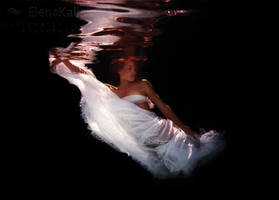 On the wing... by SachaKalis