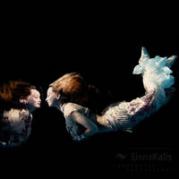 Fancy meeting you here... by SachaKalis