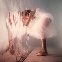 Curiosity by SachaKalis