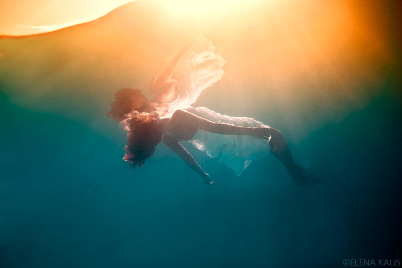 Papillon de Mer by SachaKalis