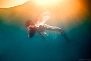 Papillon de Mer by SachaKalis